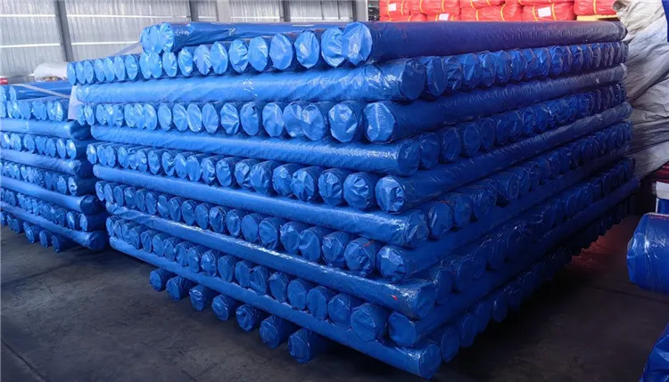 Blue Pe Tarpaulin Roll dient zum dauerhaften Schutz.