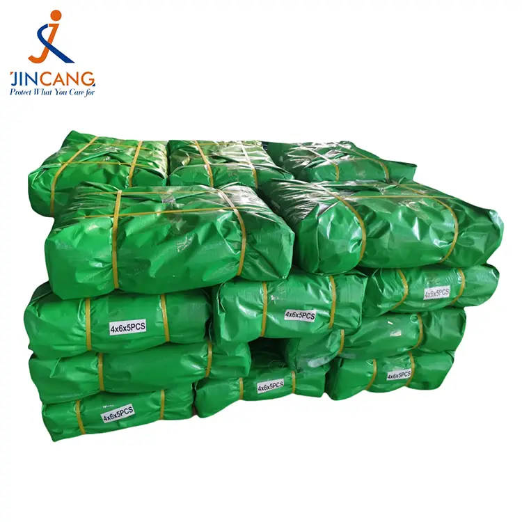 Grasgrün 300 GSM Jungfrau Pe Tarpaulin